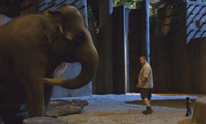 �� ������������ �� ���������� ���� ��������������� ���� �������� �������������� ������� �������� ����������, ������ ��������� �������� /����� ������/ � ������� �� ���� �� �� ������ ���������, ������ ����������� �� ������������ ��� ����������� �� ������������. ������ ������ �� �������, ��������� ������ ������� ���� �� �� �������� �� �������� ����������� ���� /������� ������/.